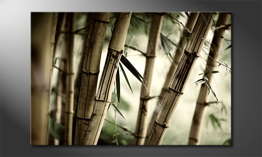 Das Leinwandbild Bamboo Forest