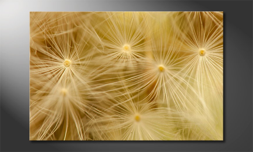 Das Leinwandbild Dandelion Closeup