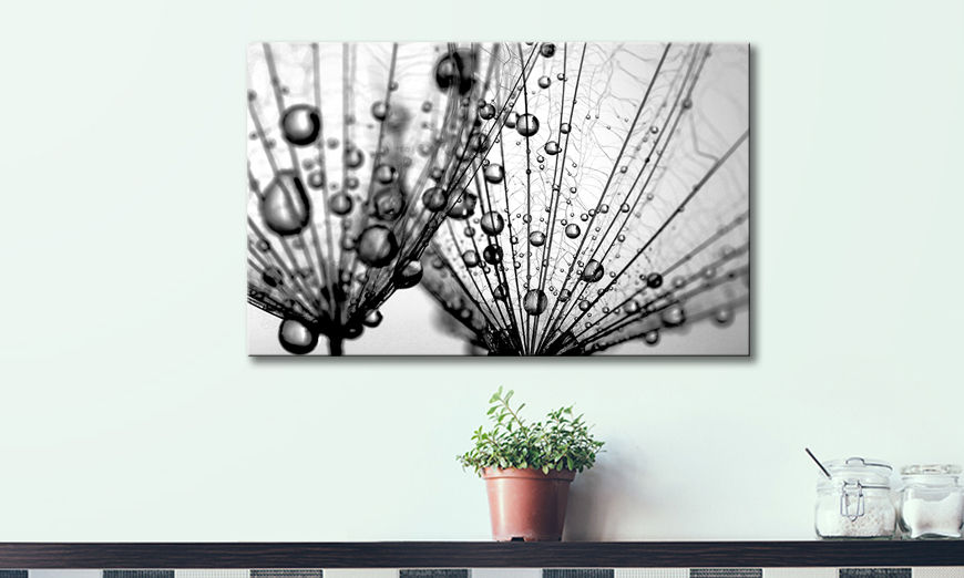 Das Leinwandbild Dandelion Seeds 80x50 cm