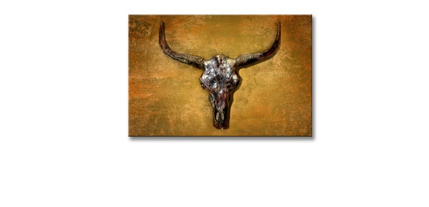 Das-Leinwandbild-Texas-Buffallo-60x40-cm