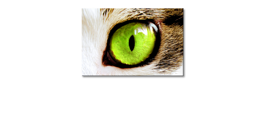 Das-Wandbild-Cats-Eye
