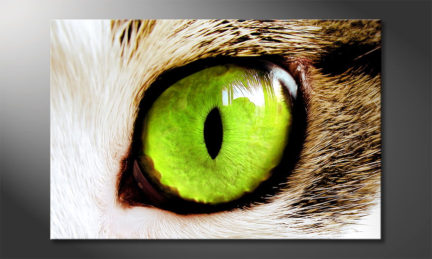 Das Wandbild Cats Eye
