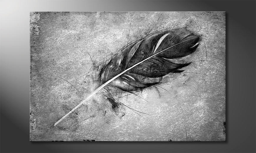 Das-exklusive-Bild-Beautiful-Feather