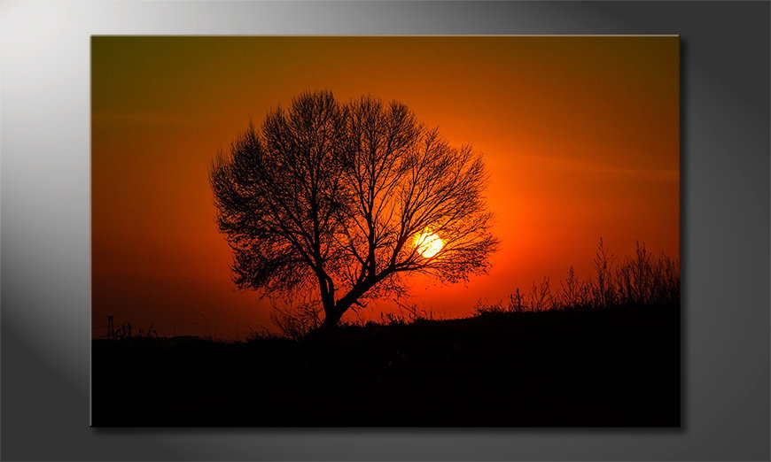 Das gedruckte Bild Red Sunset