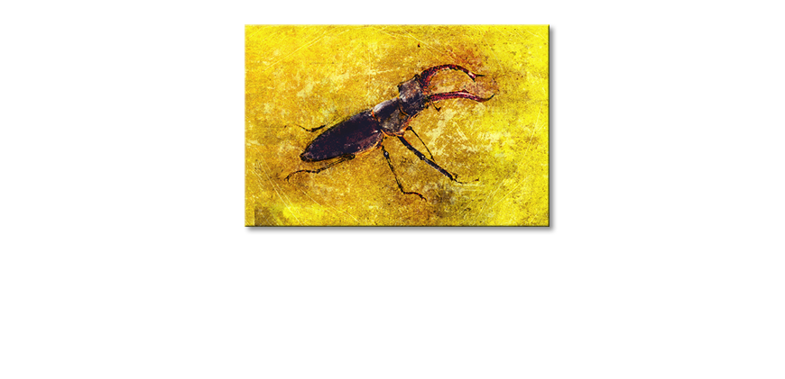 Das-gedruckte-Leinwandbild-Stag-Beetle