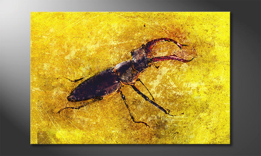 Das gedruckte Leinwandbild Stag Beetle 