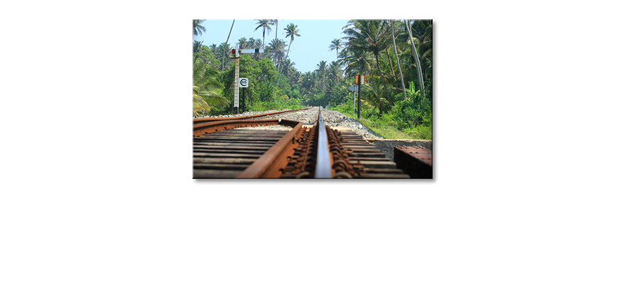 Das-moderne-Leinwandbild-Srilankan-Rails