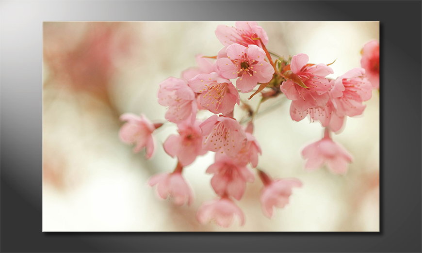Ihr-neues-Leinwandbild-Cherry-Blossoms-80x50-cm