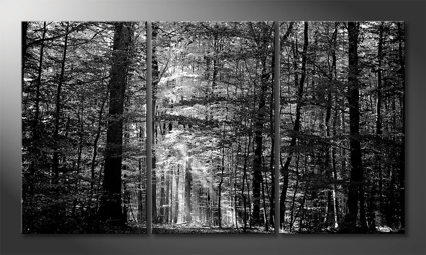 Modernes-Leinwandbild-Into-the-Forest-180x100-cm