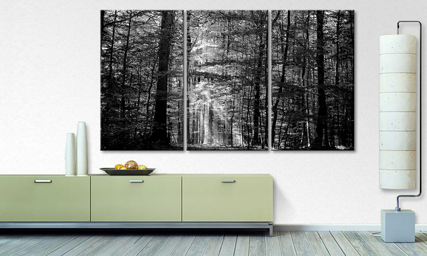 Modernes Leinwandbild Into the Forest 180x100 cm