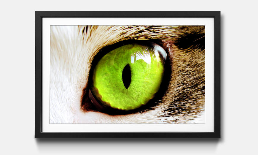 Kunstdruck gerahmt Cats Eye Green