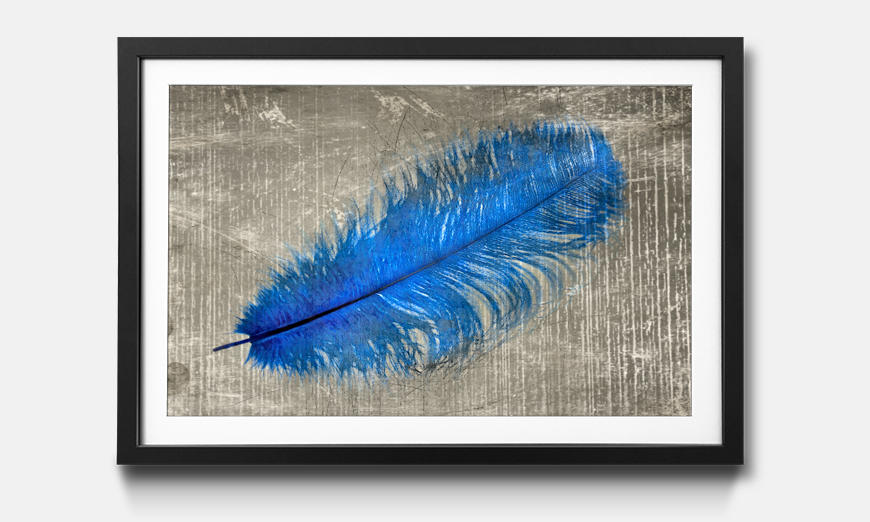 Kunstdruck gerahmt Feather In Blue