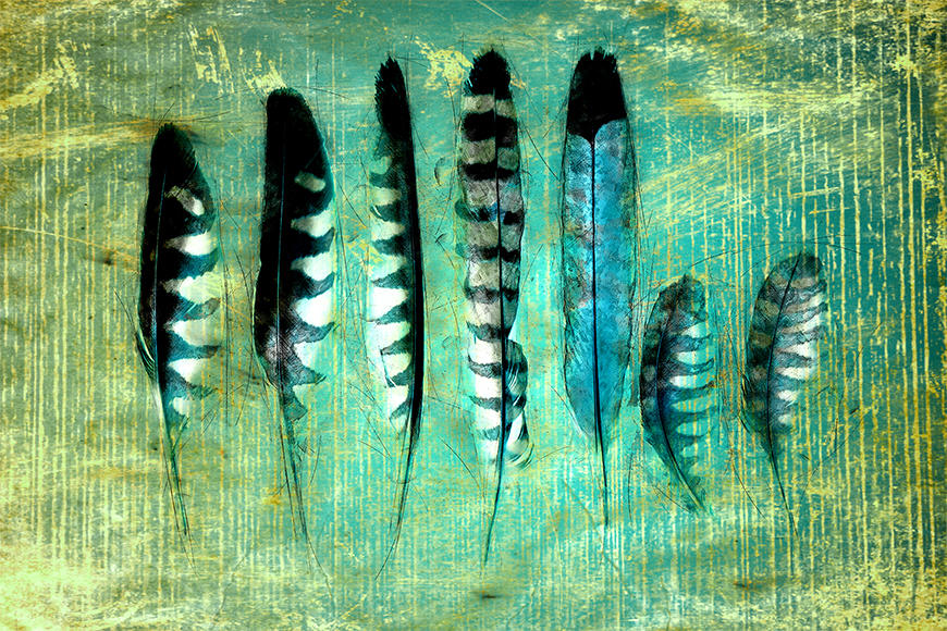 Die Vlies Foto Tapete Blue Feathers