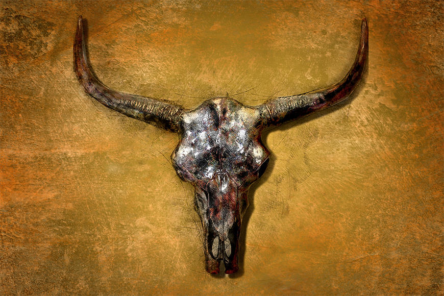 Die Vlies Fototapete Texas Buffalo
